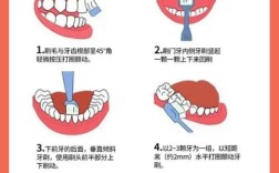 正确刷牙方法图示，步骤和要点该如何掌握？