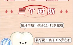 12岁正畸要多久