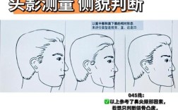 正畸都需要测量哪些关键指标？