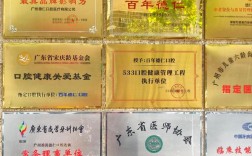 中国第一正畸品牌