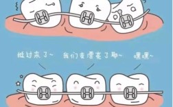 口腔正畸宣教动画图片