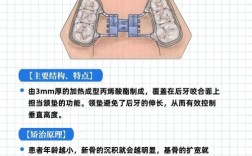口腔正畸扩大牙弓有哪些常用技术？不同方法的原理、适应症及效果差异如何？