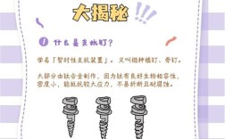 正畸种植钉脱落，常见原因究竟有哪些呢？