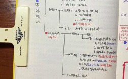 口腔正畸科笔记