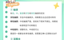 正畸力力值大小如何影响牙齿移动速度与稳定性？