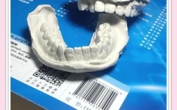 牙模灌石膏方法