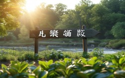 南冒哪里可以做种植牙？种植牙去哪里找正规靠谱机构？