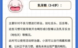 正畸美学的治疗目标究竟包含哪些核心维度？如何平衡面部美观与口腔功能的协同统一？