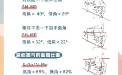 正畸中的高角和低角分别指什么？