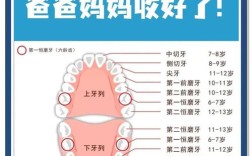 牙掉了什么时候种牙最好？