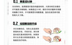 牙齿掉了最好的方法如下