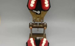 正畸弓丝弯制培训班