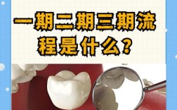 种牙第二期什么时候