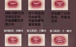 上牙植牙需要几个月恢复？