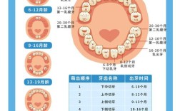 孩子矫正牙齿的最佳时间是什么时候？