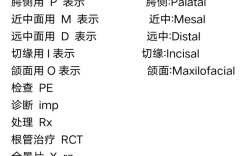 口腔正畸用英语怎么说？正确的英文术语是什么？