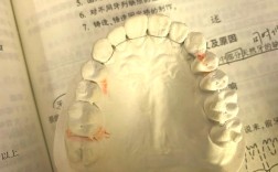 老人牙齿松动固定方法