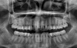 昆明拜博口腔正畸