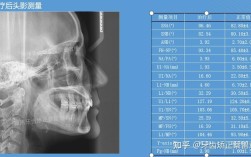 正畸侧位片测量数据