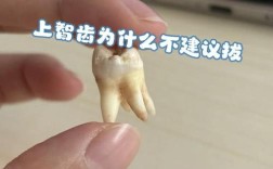 正畸真的能把智齿往前移动吗？