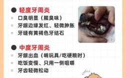 防止牙周炎用什么方法？实用指南在此！