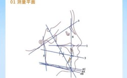 正畸头颅测量软件的正确使用方法有哪些？