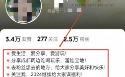 快手抖音自助引流网址如何实现粉丝下单秒到账？