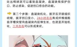 如何促进拔牙创口快速愈合？