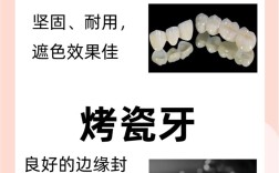 磨牙烤瓷牙能否进行正畸治疗？