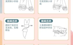 正畸治疗中支抗究竟如何决定牙齿移动方向？其作用机制对治疗效果稳定性有何关键影响？