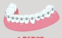 正畸牙后怎么防反弹