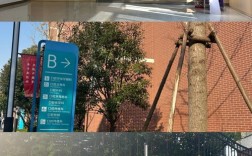 上海九院 种植牙系统