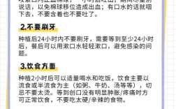 种牙手术后需要注意哪些关键事项？日常护理、饮食禁忌和复诊安排有哪些容易被忽视的细节？