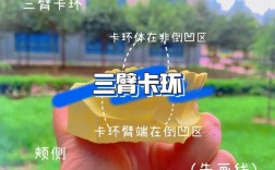 如何弯制三臂卡环？图谱方法步骤有哪些？