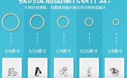 矫正橡皮链的正确使用步骤是怎样的？佩戴时有哪些常见误区需要避免？使用时长和清洁方法有何讲究？