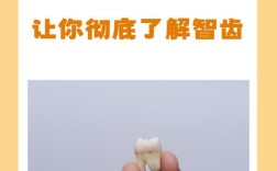 正畸过程中智齿可以拔除吗？