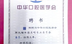 中华口腔正畸委员会如何推动技术创新与行业规范化？