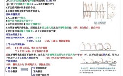 全口牙颌位记录方法有哪些？如何规范操作并确保精准记录？