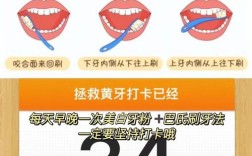 口臭牙治疗方法