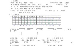 正畸专科检查病历举例，具体包含哪些核心内容？