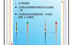 牙胶尖制作方法的工艺流程是怎样的？