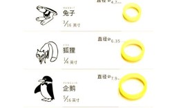 正畸刚用皮筋该用哪个号