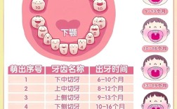 孩子种牙的最佳时间究竟是什么？错过不同年龄段会有哪些发育风险？