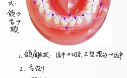 口腔吸盘的正确使用方法是什么？新手操作时有哪些常见误区及详细步骤需注意？