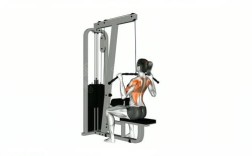 s3器械的使用方法有哪些关键步骤？