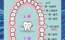 种植牙修复是否真的需要整整一年时间？不同牙槽骨条件、是否植骨会影响种牙周期吗？
