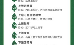 正畸支抗的三种类型具体指哪几种？