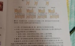安氏二类错合正畸容易吗