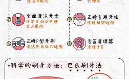矫正牙齿期间，怎样刷牙才能既干净又不会损伤矫正器和牙龈？