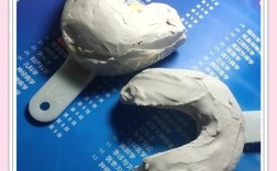 藻酸盐灌模型方法的关键步骤是什么？